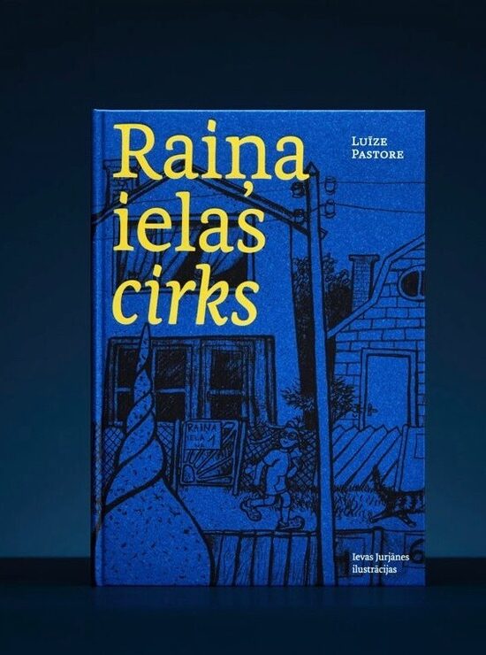 Raiņa ielas cirks